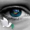 Colleen Webb841 - @colleenwebb841 - TikTok