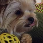 Colleen Webb - @matt9101020 - Instagram