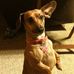 Colleen Welch - Facebook