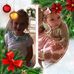 Colleen Welch - Facebook