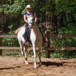 colleen welch - @colleenwelch62 - Instagram