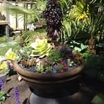 Colleen West - @colleenwest67 - Instagram