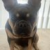 Collette Graham - Facebook