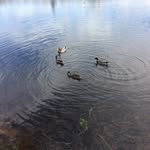 Collette Kelly - @collettekelly1964 - Instagram