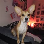 Collette Smith - Facebook