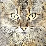 Collette Wilkinson - @col042 - Instagram
