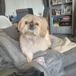 Collette Williams - @collettewilliams33 - Instagram