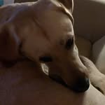 Collin Adams - @collinadams3218 - Instagram