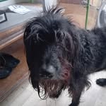 Albert Collin - @collinalbert65 - Instagram