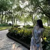 靜靜 - @collin.alexander - TikTok