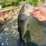Collin Allen - @collin_allen322 - Instagram