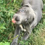 Collin Allen - @collinupnext - Instagram