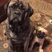 Collin Becker - Facebook