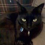 Collin John Bentley - @bentley3957 - Instagram