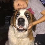 Collin Berg - @collinberg_16284 - Instagram
