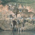 Collin Bergfeld - @collin_berg - Instagram