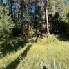 Colin Bertram - @colin.bertram - TikTok