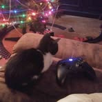 Collin Blair - Facebook