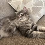 @collinblankenshiz - Instagram