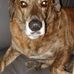 Collin Boone - Facebook