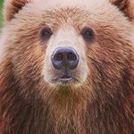 collin booth - @collin_booth24 - Instagram
