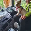 Colin Bowers3732 - @colinbowers3732 - TikTok