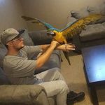 Collin Bowling - @collin.bowling - Instagram