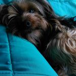 Collin Brady - @collinbrady6623 - Instagram