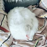 Collin Brady - @collin_draws_2000 - Instagram