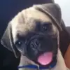 collinbraggkreepd - @collinbraggkreepd - TikTok