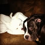 Collin Bridges - @mr_richard_broom - Instagram