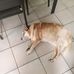 Colin Brigham - Facebook