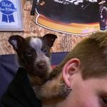 Colin Brink - @brinkcolin - Instagram