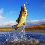 Collin Burton - @cbud_fishing - Instagram