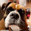 Collin Caron - @collin.caron - TikTok