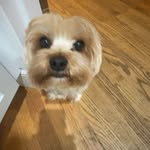 Collin Caron - @collin789065 - Instagram