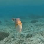 @collin_carson223 - Instagram