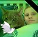 Collin Chambers - Facebook
