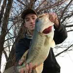Collin Chapman - @collinttchappy - Instagram