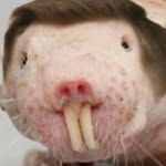 Collin Chase - @collinchase123456 - Instagram