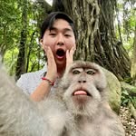 Collin Cheng - @collinycheng - Instagram