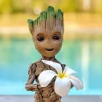 Collin Cheng - @collin.cheng.568 - Instagram