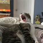 Collin childers - @collin.childers - Instagram