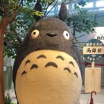 Collin - @collin.chung123 - Instagram