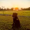 colliercollins0 - @collier.collins - TikTok