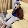 Colin Conley - @colin.conley3 - TikTok
