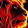 Collin Claybaugh - @collinclaybaugh - TikTok