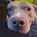 Collin Cooper - Facebook