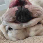 Collin Crow - @collincrow69 - Instagram