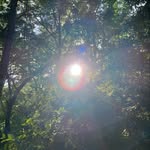 Colin Decker - @colin_decker_ - Instagram